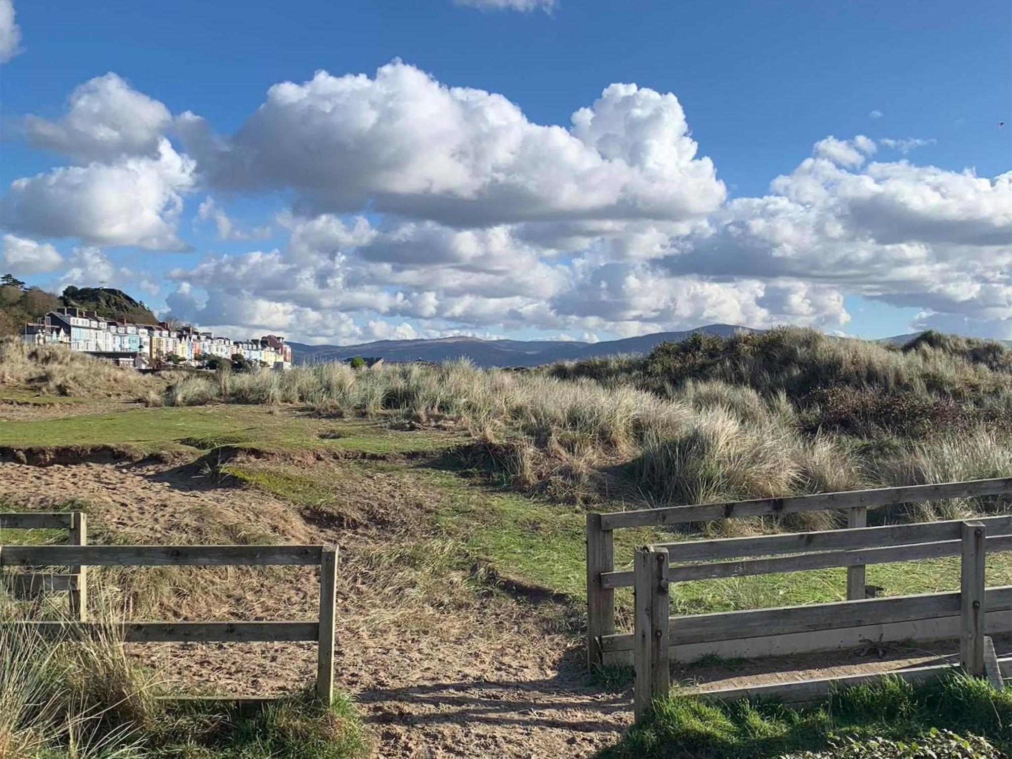 Driftwood Villa Aberdyfi Eksteriør billede